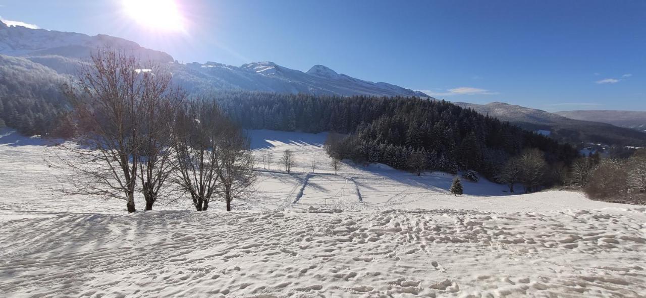 Studio Cosy Au Pied Des Pistes Villard-De-Lans 4 Pers Kültér fotó